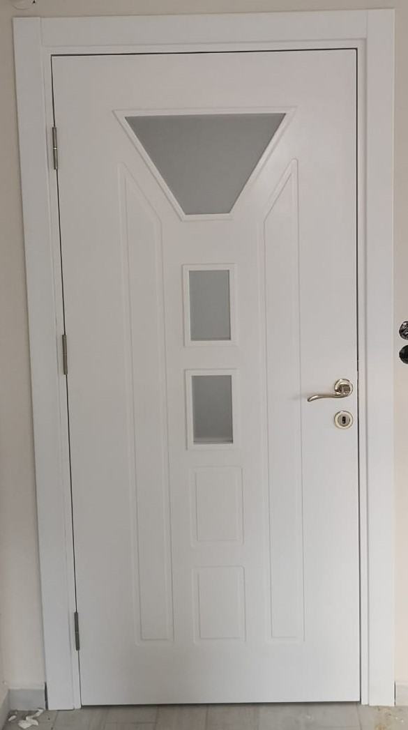 Glazed Door
